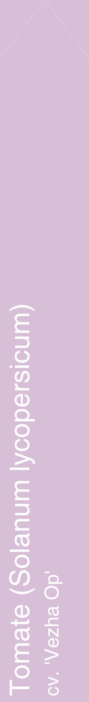 Étiquette de : Solanum lycopersicum cv. 'Vezha Op' - format c - style blanche54_simplehel avec comestibilité