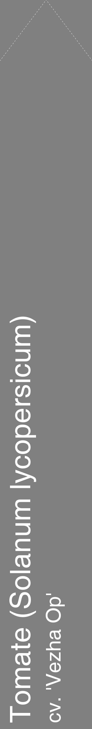 Étiquette de : Solanum lycopersicum cv. 'Vezha Op' - format c - style blanche57_simplehel avec comestibilité