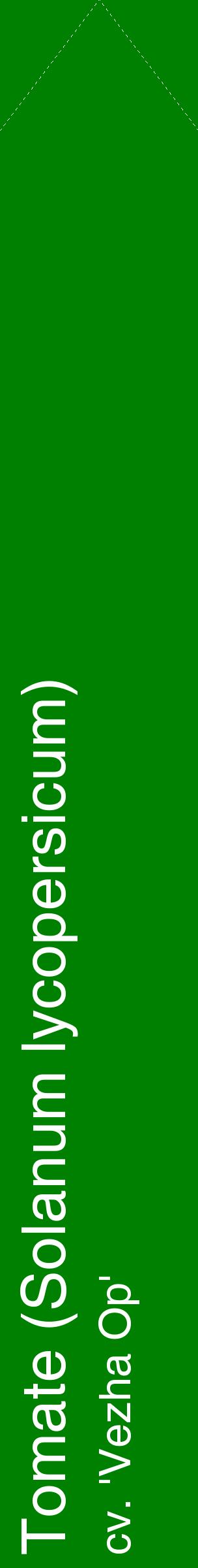 Étiquette de : Solanum lycopersicum cv. 'Vezha Op' - format c - style blanche9_simplehel avec comestibilité