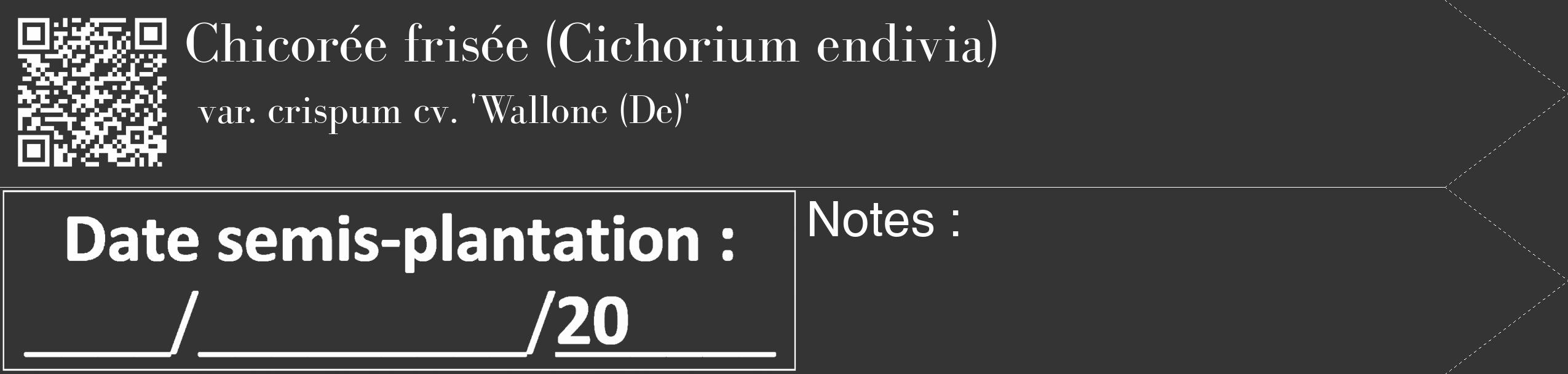 Étiquette de : Cichorium endivia var. crispum cv. 'Wallone (De)' - format c - style blanche46_simple_simplebod avec qrcode et comestibilité