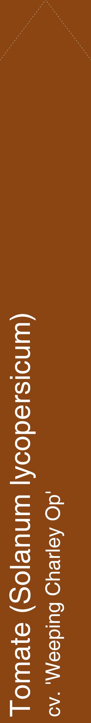 Étiquette de : Solanum lycopersicum cv. 'Weeping Charley Op' - format c - style blanche30_simplehel avec comestibilité