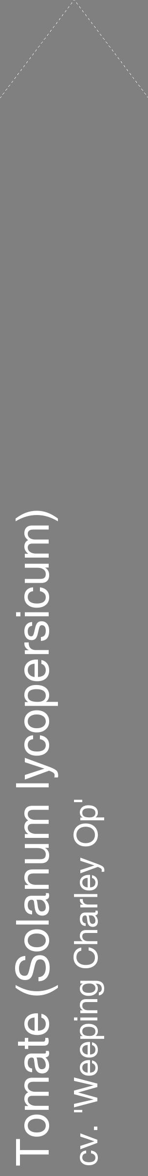 Étiquette de : Solanum lycopersicum cv. 'Weeping Charley Op' - format c - style blanche57_simplehel avec comestibilité