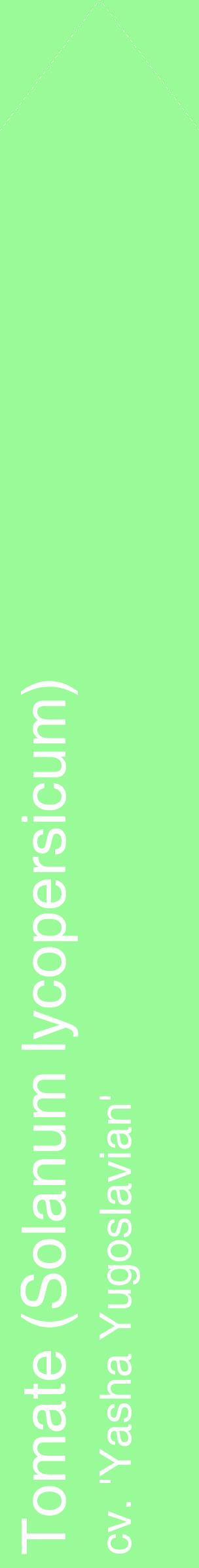 Étiquette de : Solanum lycopersicum cv. 'Yasha Yugoslavian' - format c - style blanche14_simplehel avec comestibilité