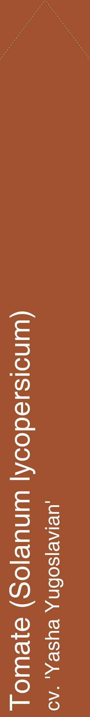 Étiquette de : Solanum lycopersicum cv. 'Yasha Yugoslavian' - format c - style blanche32_simplehel avec comestibilité