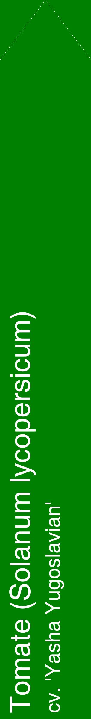 Étiquette de : Solanum lycopersicum cv. 'Yasha Yugoslavian' - format c - style blanche9_simplehel avec comestibilité