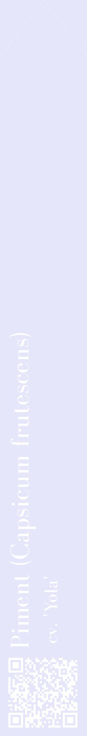 Étiquette de : Capsicum frutescens cv. 'Yola' - format c - style blanche55_simplebod avec qrcode et comestibilité