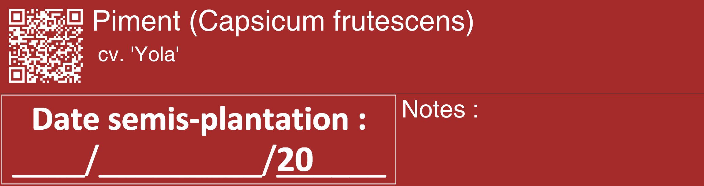 Étiquette de : Capsicum frutescens cv. 'Yola' - format c - style blanche33_basique_basiquehel avec qrcode et comestibilité