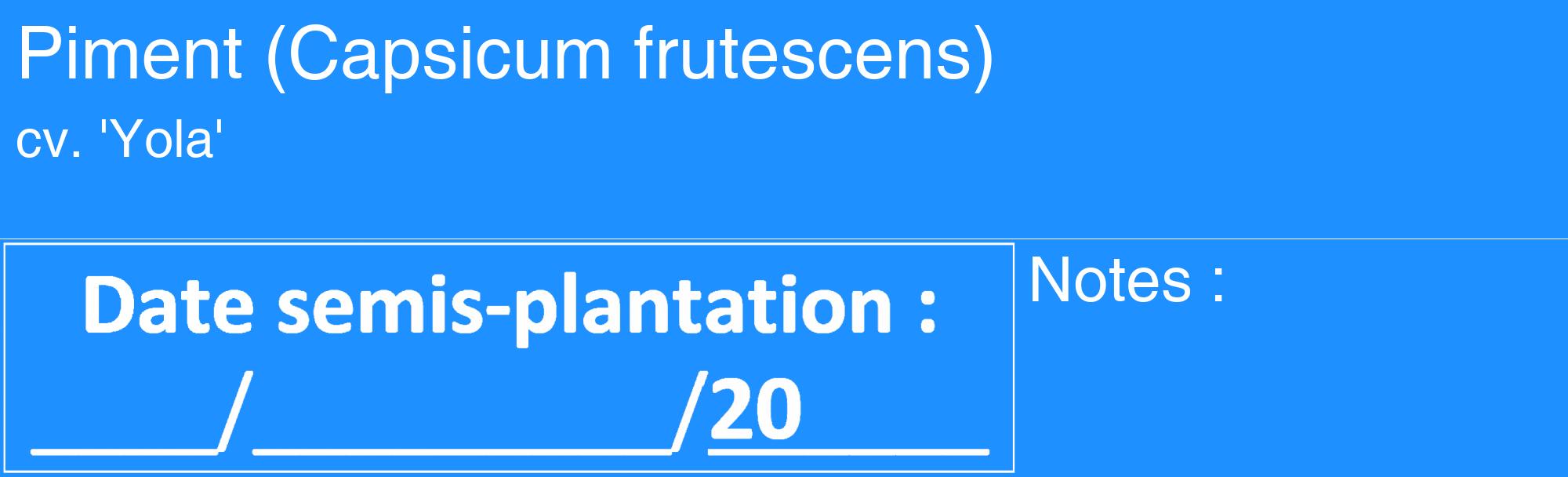 Étiquette de : Capsicum frutescens cv. 'Yola' - format c - style blanche3_basique_basiquehel avec comestibilité