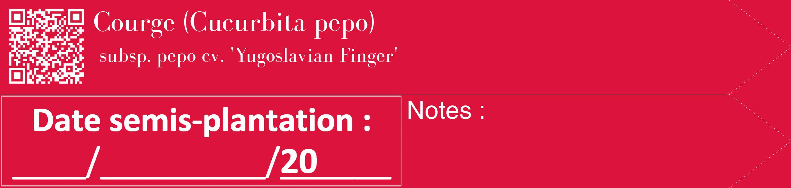 Étiquette de : Cucurbita pepo subsp. pepo cv. 'Yugoslavian Finger' - format c - style blanche36_simple_simplebod avec qrcode et comestibilité