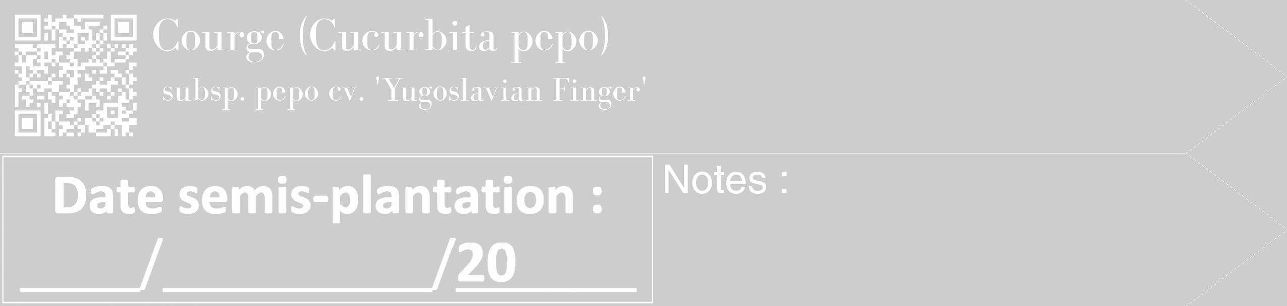 Étiquette de : Cucurbita pepo subsp. pepo cv. 'Yugoslavian Finger' - format c - style blanche41_simple_simplebod avec qrcode et comestibilité