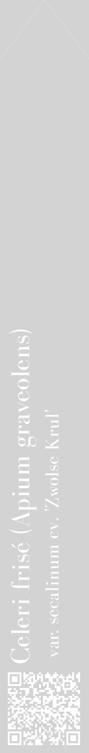 Étiquette de : Apium graveolens var. secalinum cv. 'Zwolse Krul' - format c - style blanche56_simplebod avec qrcode et comestibilité