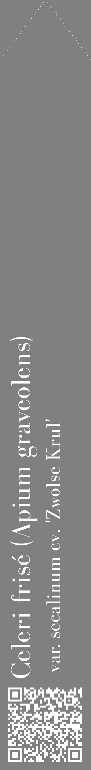 Étiquette de : Apium graveolens var. secalinum cv. 'Zwolse Krul' - format c - style blanche57_simplebod avec qrcode et comestibilité