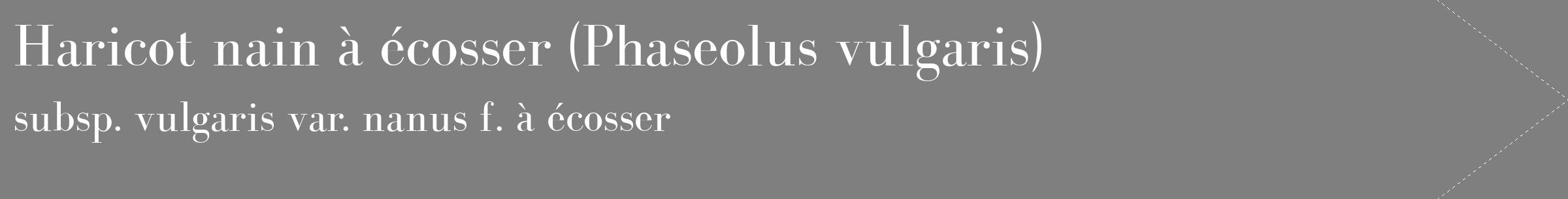 Étiquette de : Phaseolus vulgaris subsp. vulgaris var. nanus f. à écosser - format c - style blanche31_simple_simplebod avec comestibilité
