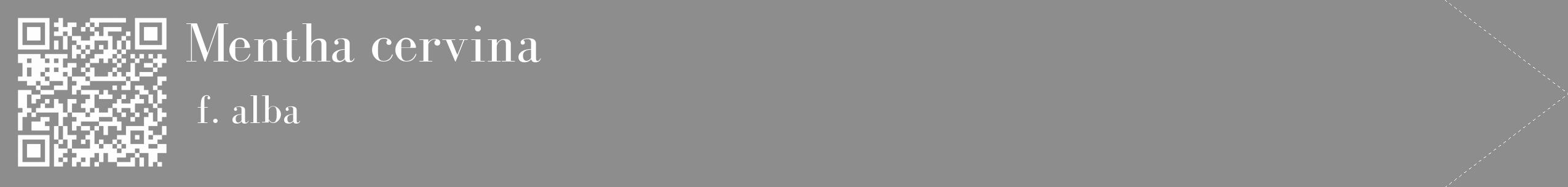 Étiquette de : Mentha cervina f. alba - format c - style blanche2_simple_simplebod avec qrcode et comestibilité