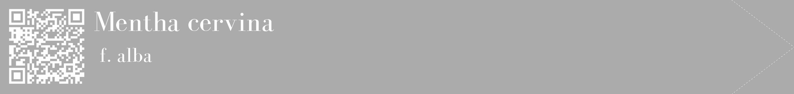 Étiquette de : Mentha cervina f. alba - format c - style blanche37_simple_simplebod avec qrcode et comestibilité