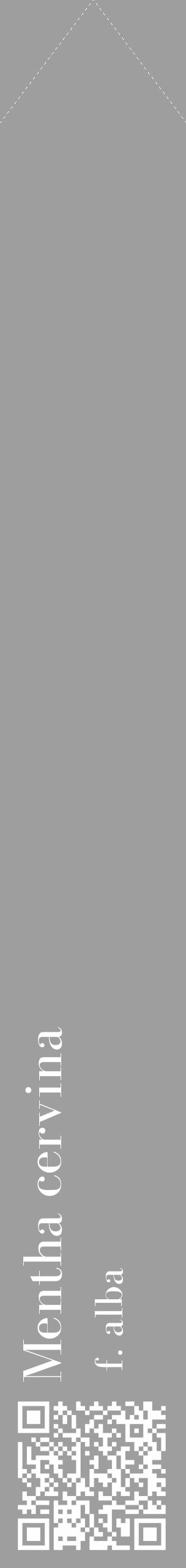 Étiquette de : Mentha cervina f. alba - format c - style blanche23_simple_simplebod avec qrcode et comestibilité - position verticale