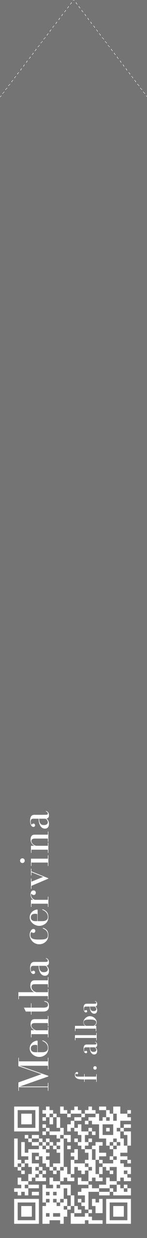 Étiquette de : Mentha cervina f. alba - format c - style blanche26_simple_simplebod avec qrcode et comestibilité - position verticale