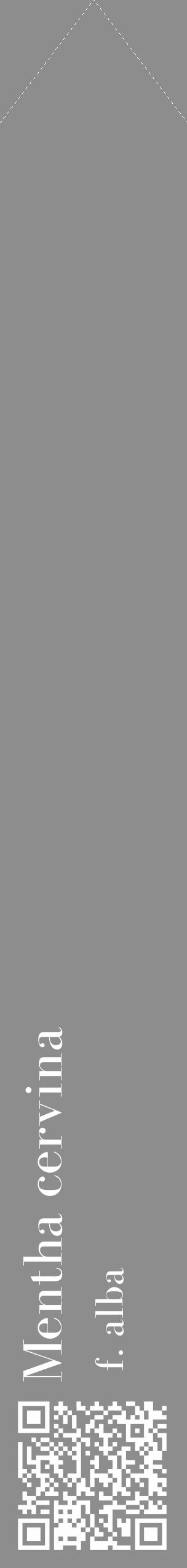 Étiquette de : Mentha cervina f. alba - format c - style blanche2_simple_simplebod avec qrcode et comestibilité - position verticale