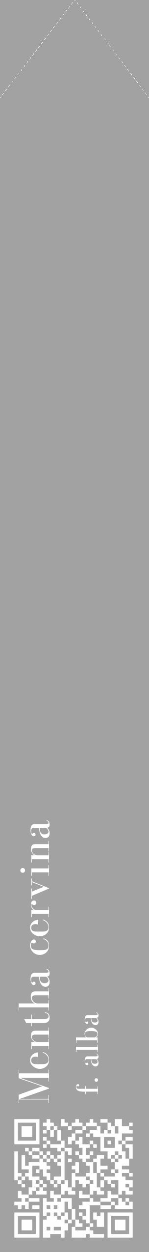 Étiquette de : Mentha cervina f. alba - format c - style blanche38_simple_simplebod avec qrcode et comestibilité - position verticale