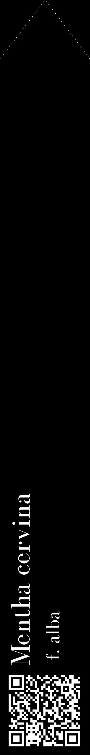 Étiquette de : Mentha cervina f. alba - format c - style blanche59_simplebod avec qrcode et comestibilité