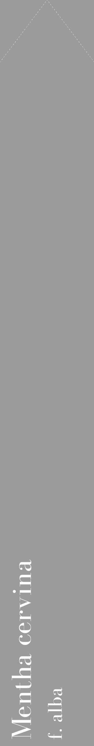 Étiquette de : Mentha cervina f. alba - format c - style blanche52_simple_simplebod avec comestibilité - position verticale