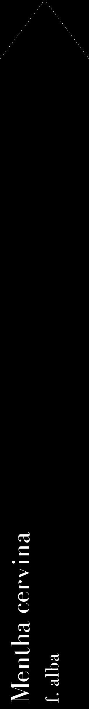 Étiquette de : Mentha cervina f. alba - format c - style blanche59_simplebod avec comestibilité
