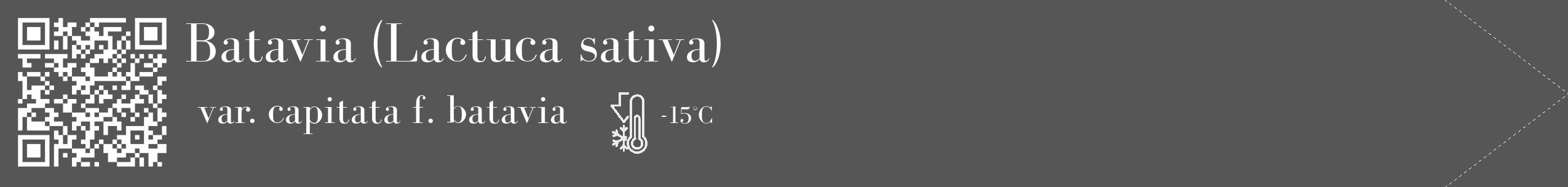Étiquette de : Lactuca sativa var. capitata f. batavia - format c - style blanche45_simple_simplebod avec qrcode et comestibilité