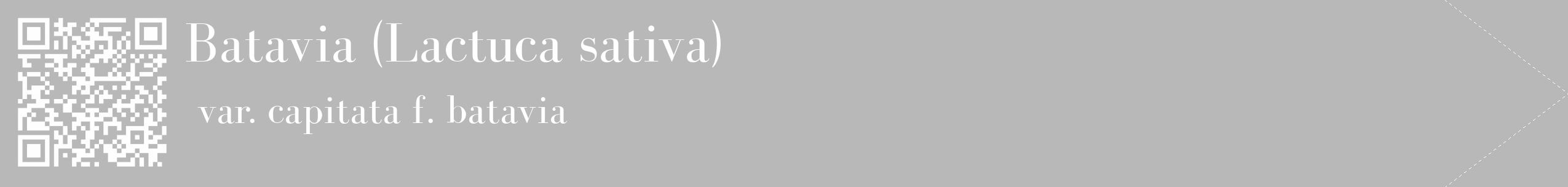 Étiquette de : Lactuca sativa var. capitata f. batavia - format c - style blanche39_simple_simplebod avec qrcode et comestibilité