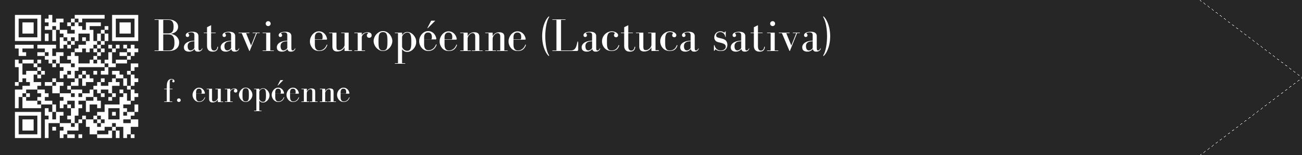 Étiquette de : Lactuca sativa f. européenne - format c - style blanche29_simple_simplebod avec qrcode et comestibilité