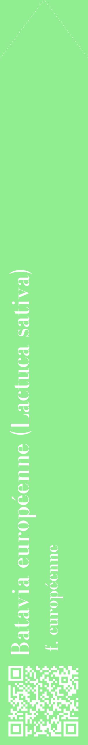 Étiquette de : Lactuca sativa f. européenne - format c - style blanche15_simplebod avec qrcode et comestibilité