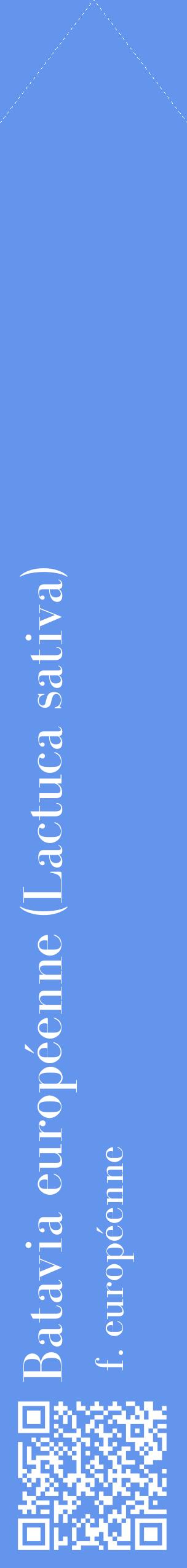 Étiquette de : Lactuca sativa f. européenne - format c - style blanche4_simplebod avec qrcode et comestibilité