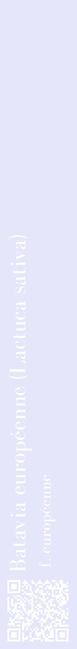 Étiquette de : Lactuca sativa f. européenne - format c - style blanche55_simplebod avec qrcode et comestibilité