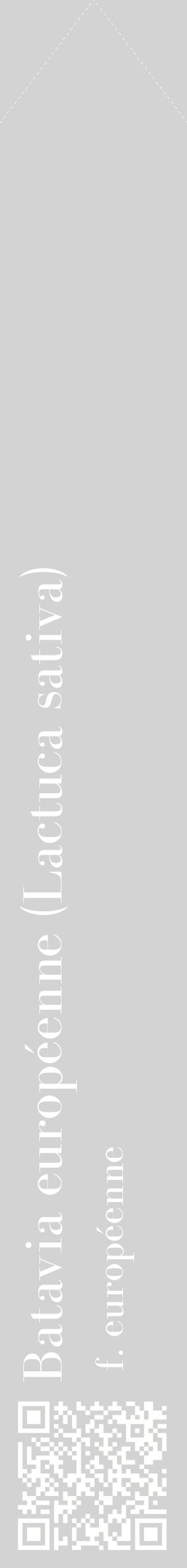 Étiquette de : Lactuca sativa f. européenne - format c - style blanche56_simplebod avec qrcode et comestibilité