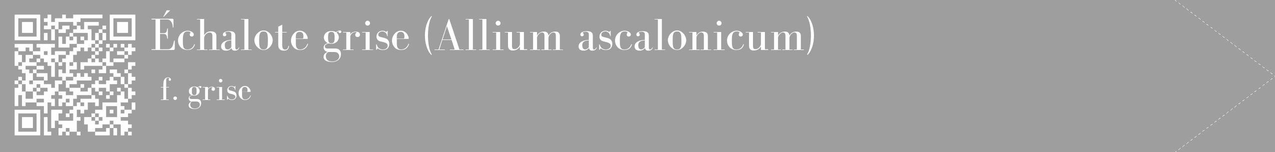 Étiquette de : Allium ascalonicum f. grise - format c - style blanche23_simple_simplebod avec qrcode et comestibilité
