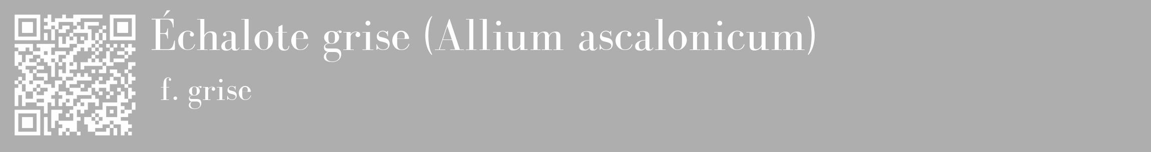 Étiquette de : Allium ascalonicum f. grise - format c - style blanche53_basique_basiquebod avec qrcode et comestibilité