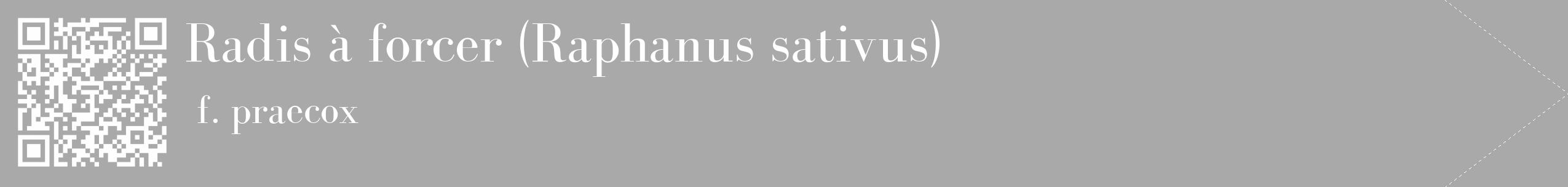 Étiquette de : Raphanus sativus f. praecox - format c - style blanche13_simple_simplebod avec qrcode et comestibilité