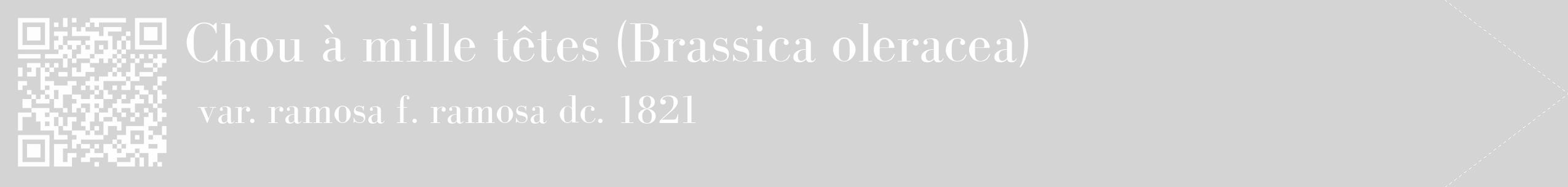 Étiquette de : Brassica oleracea var. ramosa f. ramosa dc. 1821 - format c - style blanche40_simple_simplebod avec qrcode et comestibilité