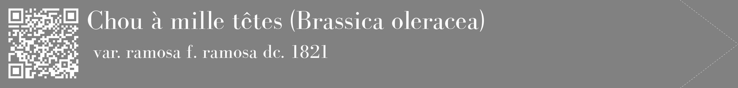 Étiquette de : Brassica oleracea var. ramosa f. ramosa dc. 1821 - format c - style blanche50_simple_simplebod avec qrcode et comestibilité