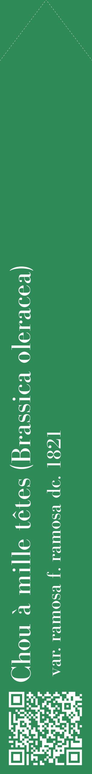 Étiquette de : Brassica oleracea var. ramosa f. ramosa dc. 1821 - format c - style blanche11_simplebod avec qrcode et comestibilité
