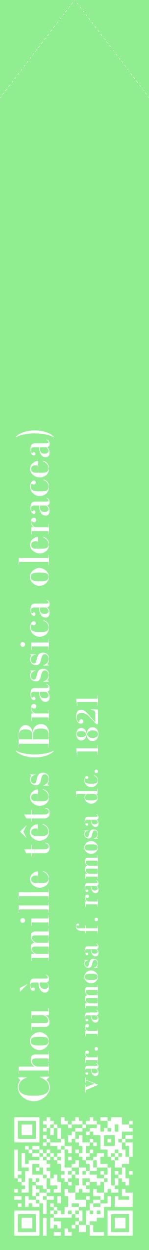 Étiquette de : Brassica oleracea var. ramosa f. ramosa dc. 1821 - format c - style blanche15_simplebod avec qrcode et comestibilité