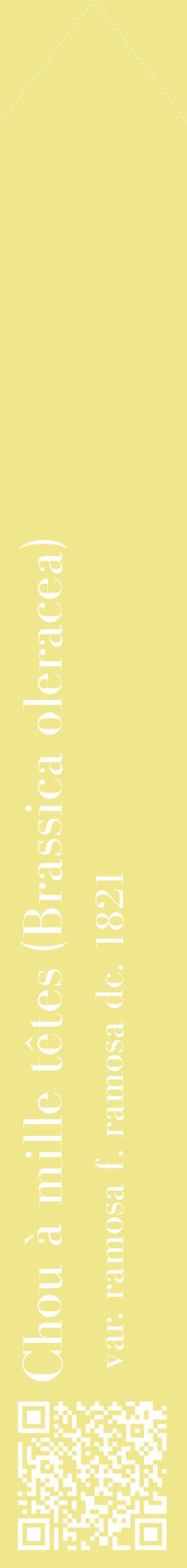 Étiquette de : Brassica oleracea var. ramosa f. ramosa dc. 1821 - format c - style blanche20_simplebod avec qrcode et comestibilité