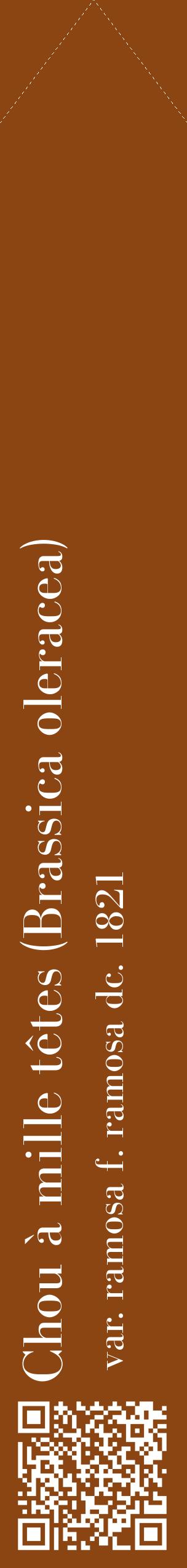 Étiquette de : Brassica oleracea var. ramosa f. ramosa dc. 1821 - format c - style blanche30_simplebod avec qrcode et comestibilité