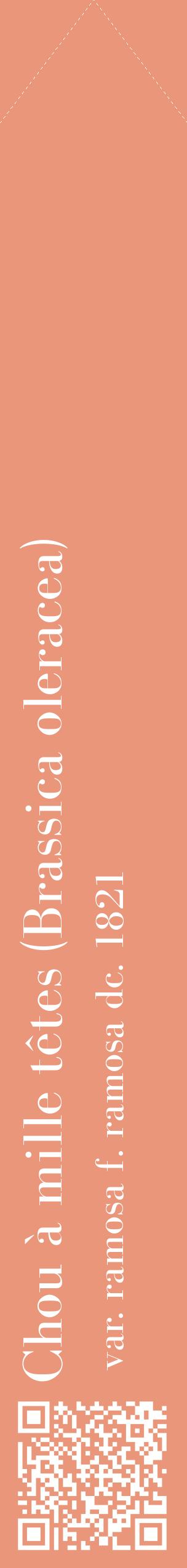 Étiquette de : Brassica oleracea var. ramosa f. ramosa dc. 1821 - format c - style blanche37_simplebod avec qrcode et comestibilité