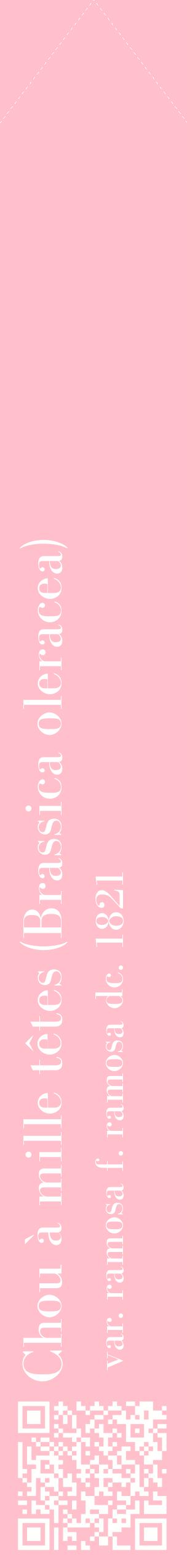 Étiquette de : Brassica oleracea var. ramosa f. ramosa dc. 1821 - format c - style blanche40_simplebod avec qrcode et comestibilité