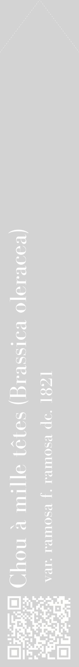 Étiquette de : Brassica oleracea var. ramosa f. ramosa dc. 1821 - format c - style blanche56_simplebod avec qrcode et comestibilité