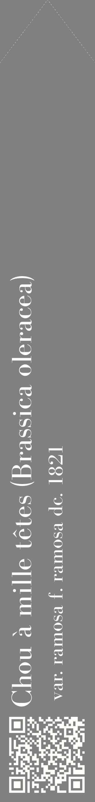 Étiquette de : Brassica oleracea var. ramosa f. ramosa dc. 1821 - format c - style blanche57_simplebod avec qrcode et comestibilité