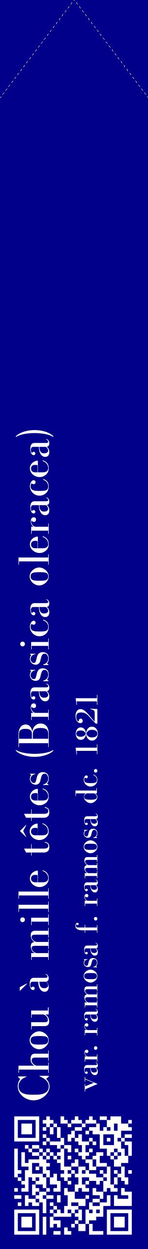 Étiquette de : Brassica oleracea var. ramosa f. ramosa dc. 1821 - format c - style blanche7_simplebod avec qrcode et comestibilité