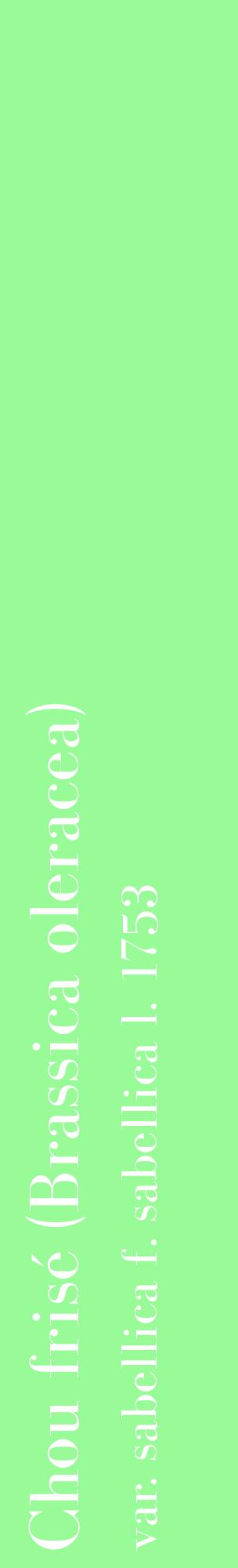 Étiquette de : Brassica oleracea var. sabellica f. sabellica l. 1753 - format c - style blanche14_basiquebod avec comestibilité