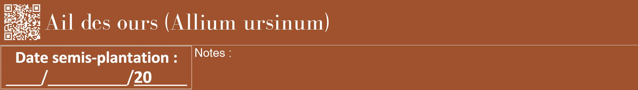 Étiquette de : Allium ursinum - format a - style blanche32bod avec qrcode et comestibilité