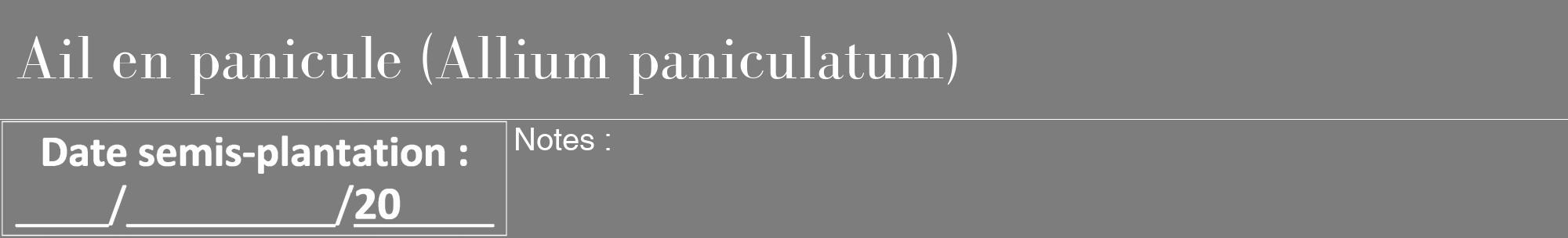 Étiquette de : Allium paniculatum - format a - style blanche35bod avec comestibilité